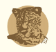 Leopardsong lodge logo